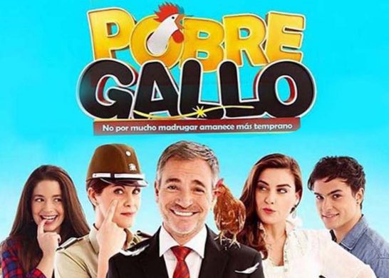 Pobre Gallo