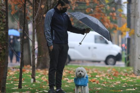 Sistema Frontal Lluvia