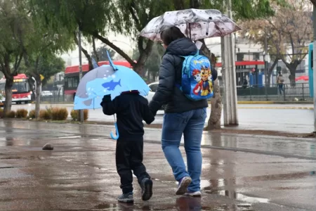 Sistema Frontal Suspensión De Clases