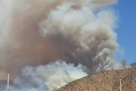 Incendio Forestal Curacaví