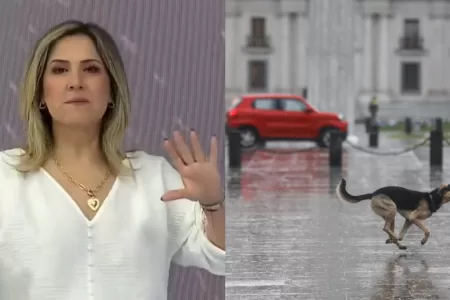 Michelle Adam Lluvia En Santiago Diciembre