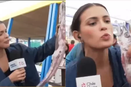 Cony Capelli Contigo En La Mañana