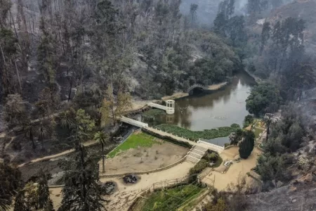 Jardin Botanico Incendio