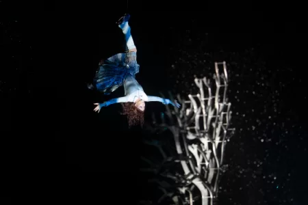 Cirque Du Soleil Crystal Descuento