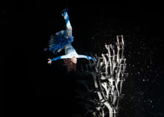 Cirque Du Soleil Crystal Descuento