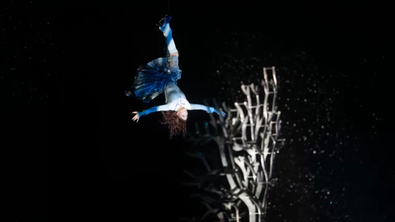 Cirque Du Soleil Crystal Descuento