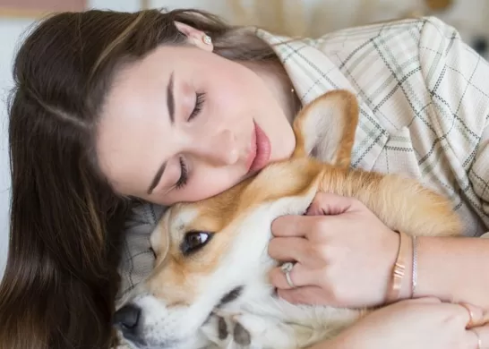 Muerte Perro Belén Soto