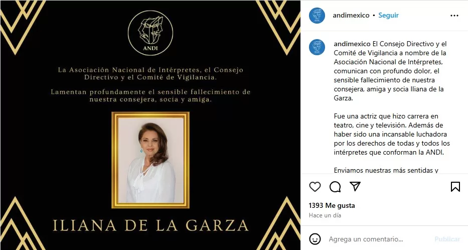 Instagram ANDI México