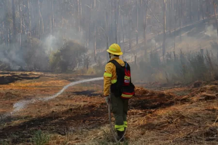ForestAL