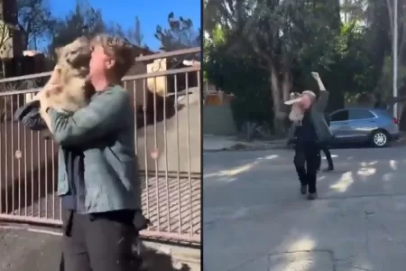 Hombre Se Reencuentra Con Su Perro