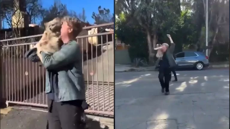 Hombre Se Reencuentra Con Su Perro